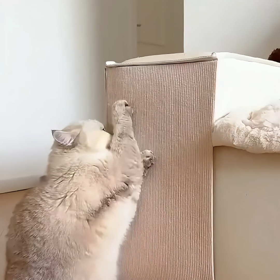 Selbstklebende Kratzmatte