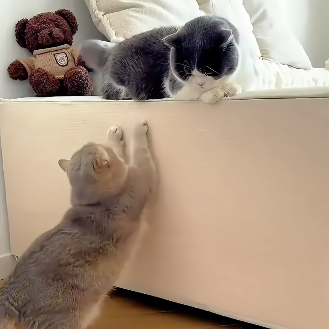 Selbstklebende Kratzmatte